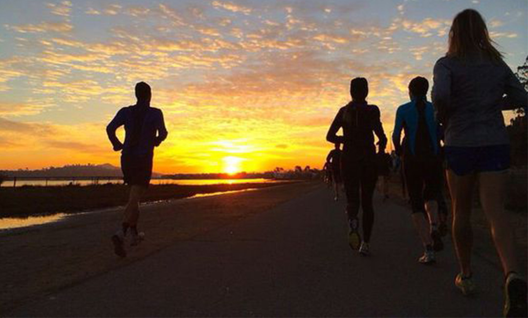 商洛计步器问答案例