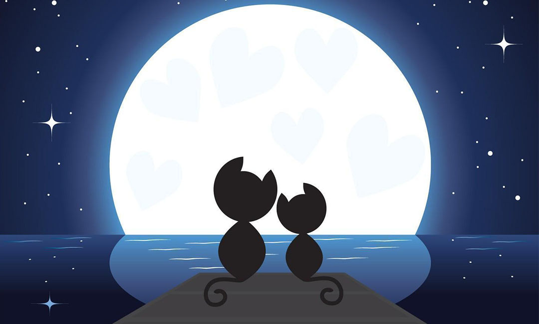 商洛潮客汇微信活动策划案例