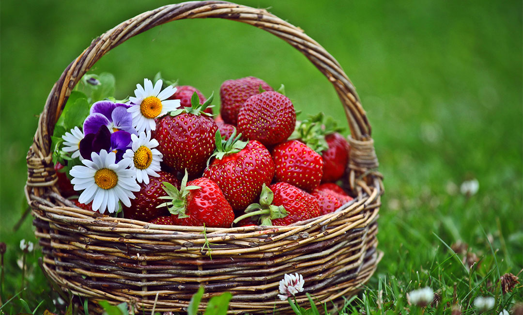 商洛点呀点水果电商APP开发案例