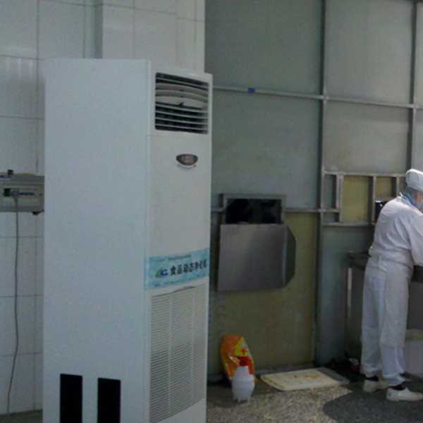 商洛食品正负离子空气杀菌器